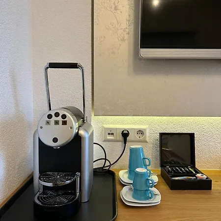 Alte Schule מלון *